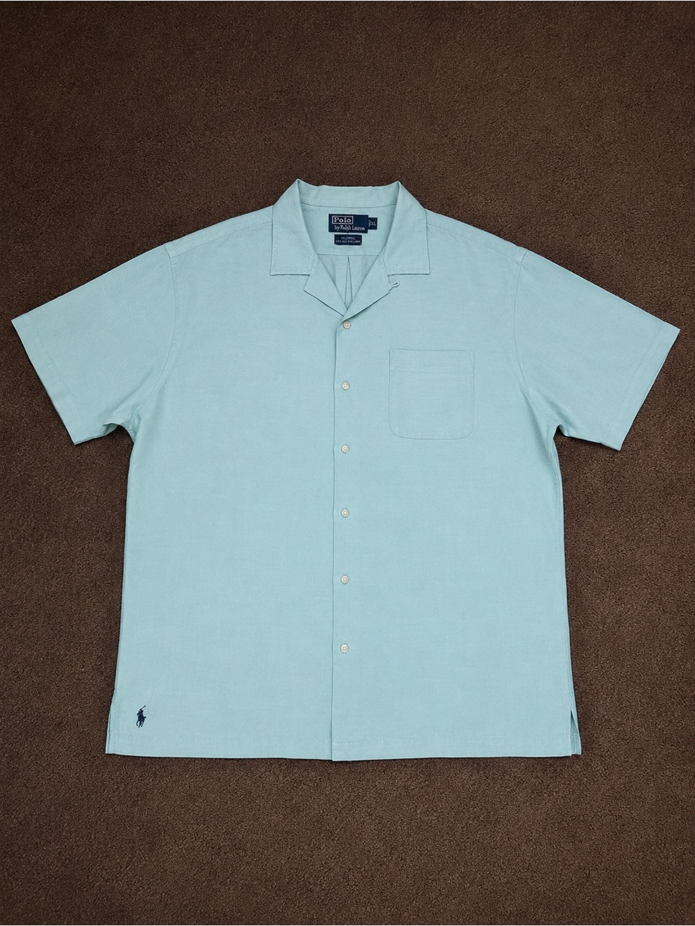 Polo by Ralph Lauren Short-Sleeve Button-Down in Pale Blue
